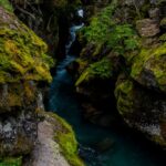 Avalanche Lake Trail