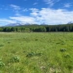 Covey Meadow Trail