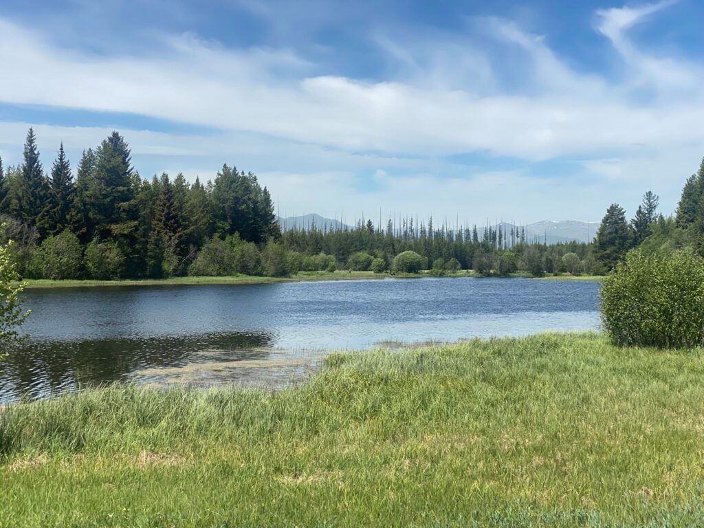 Hidden Meadow Trail