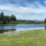 Hidden Meadow Trail
