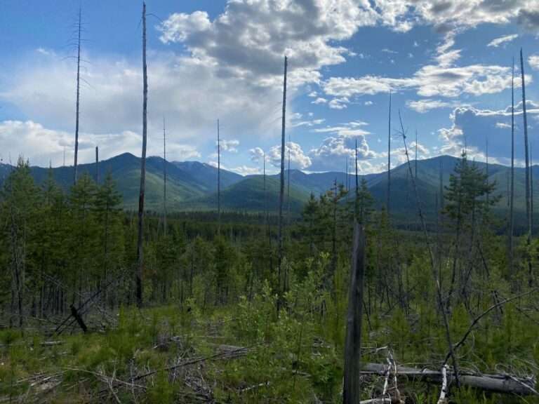 Howe Lake Howe Lake Trail: A Peaceful Hike in Glacier National Park - Trekking Wild