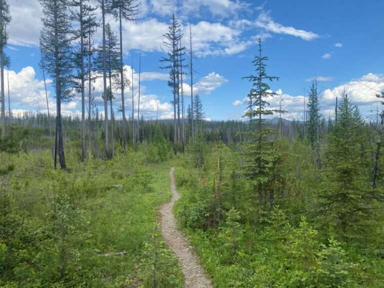 Howe Lake Howe Lake Trail: A Peaceful Hike in Glacier National Park - Trekking Wild