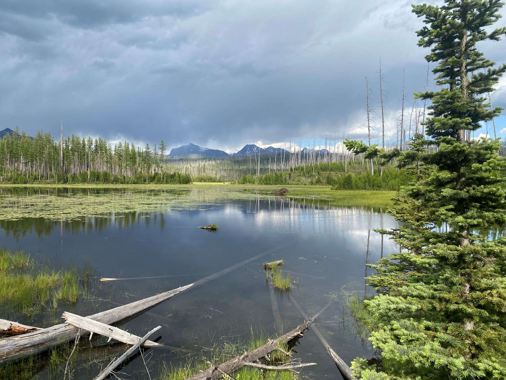 Howe Lake Howe Lake Trail: A Peaceful Hike in Glacier National Park - Trekking Wild
