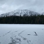 Johns Lake Loop
