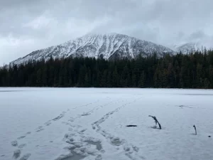 Johns Lake Loop